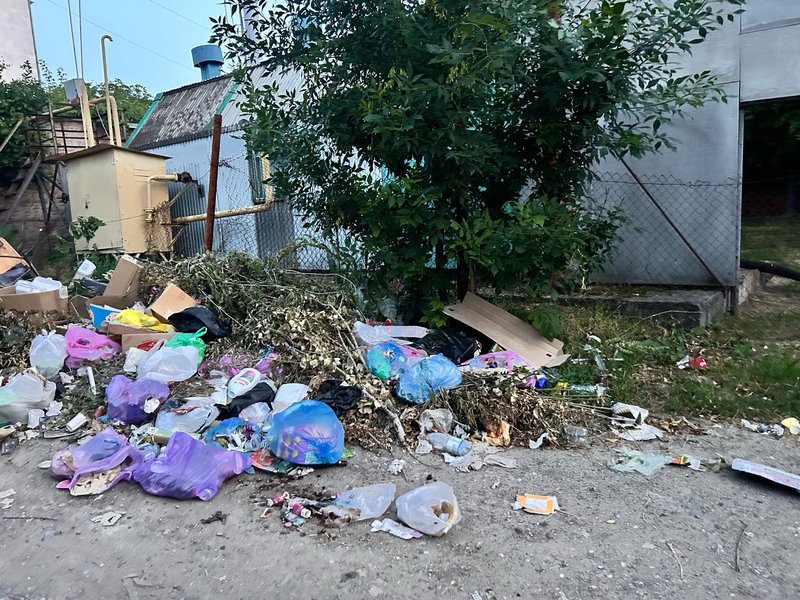 В Новочеркасске уже несколько месяцев растет очередная стихийная свалка